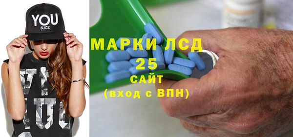 гашик Алексин