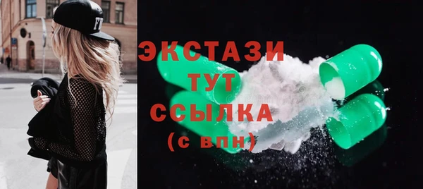 гашик Алексин