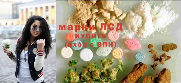 гашик Алексин
