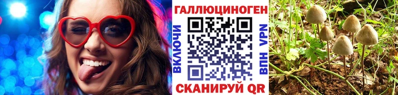 Галлюциногенные грибы Psilocybine cubensis Жигулёвск